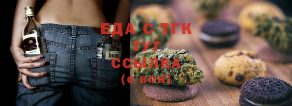 индика Каменка