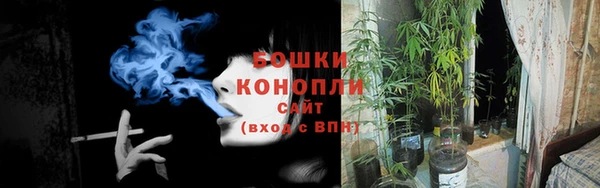 индика Каменка