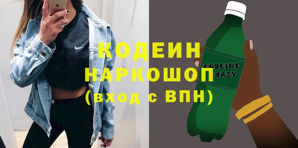 индика Каменка