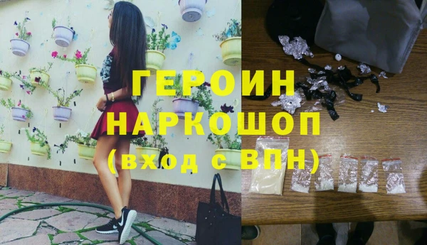 индика Каменка