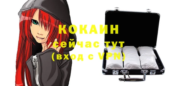 индика Каменка