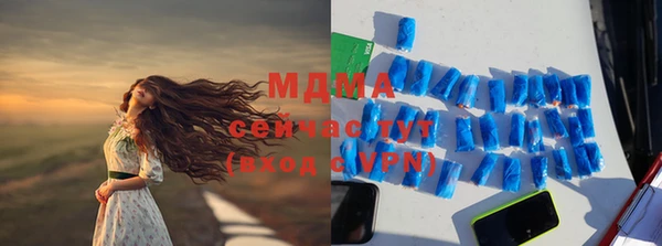 индика Каменка