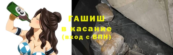 индика Каменка
