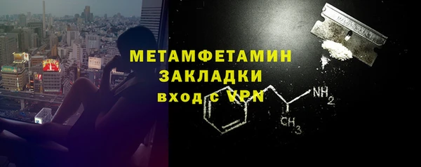 индика Каменка