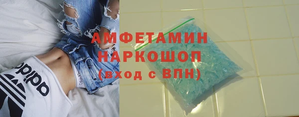индика Каменка