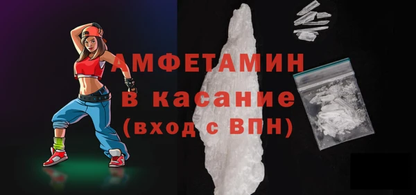 индика Каменка
