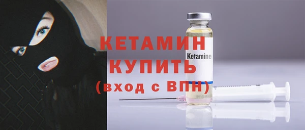 индика Каменка