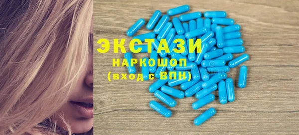 индика Каменка