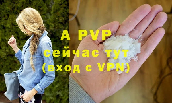 индика Каменка