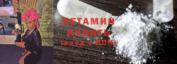 индика Каменка