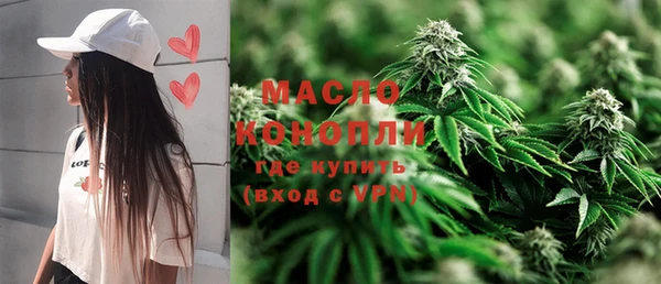 индика Каменка