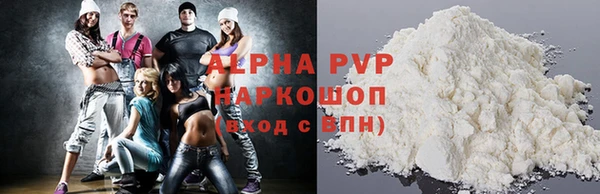 индика Каменка