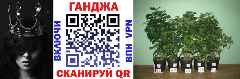 Шишки марихуана планчик  Купить где  Городец 